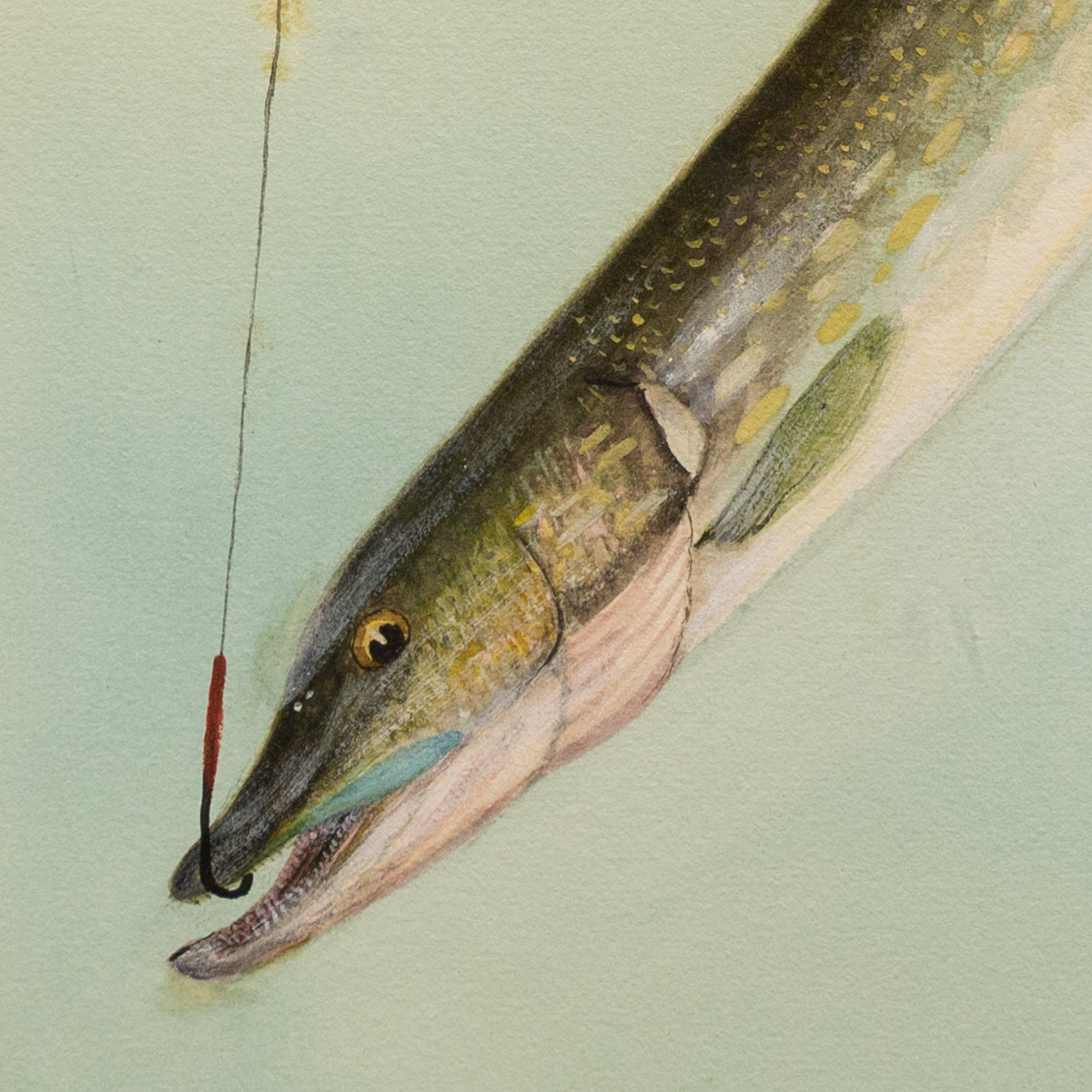 Pair of Hooked Fish Watercolors by William B. Gillette