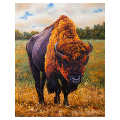 Buffalo Bull by E. Tapia, Fine Art, Painting, Wildlife