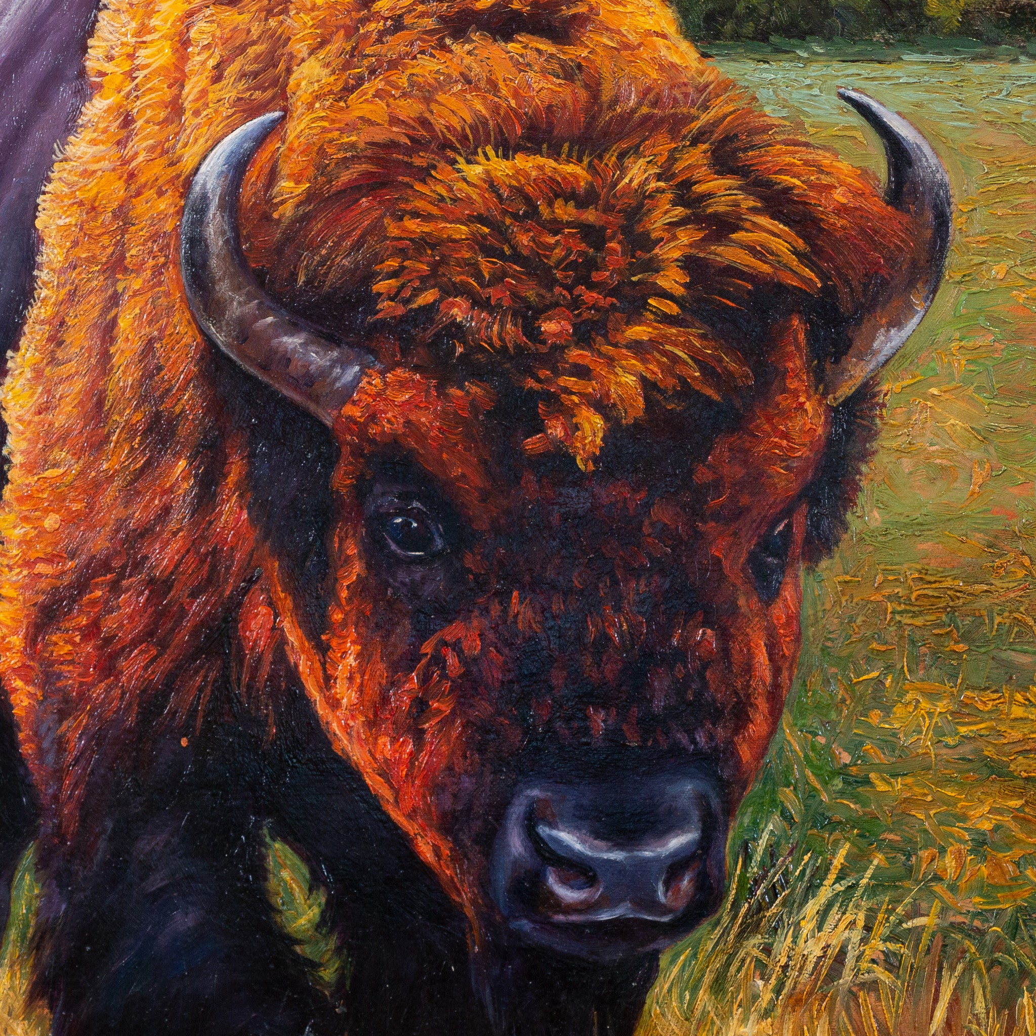 Buffalo Bull by E. Tapia