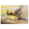 Brown Trout by Raul San Martin, Fine Art, Painting, Wildlife