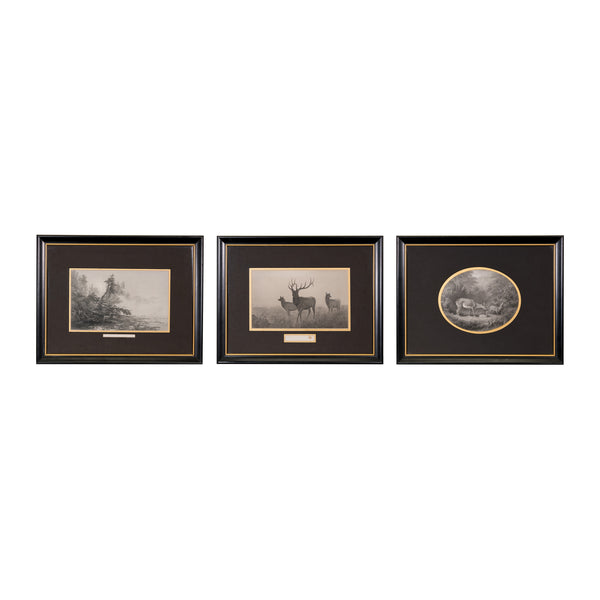 Three 1858 Engravings, Fine Art, Other, Etching