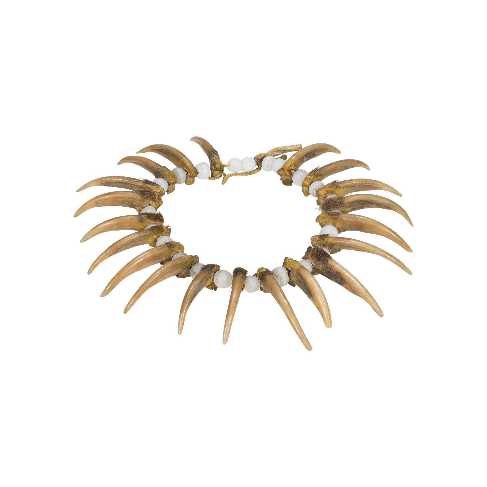 Sioux Warrior's Badger Claw Choker