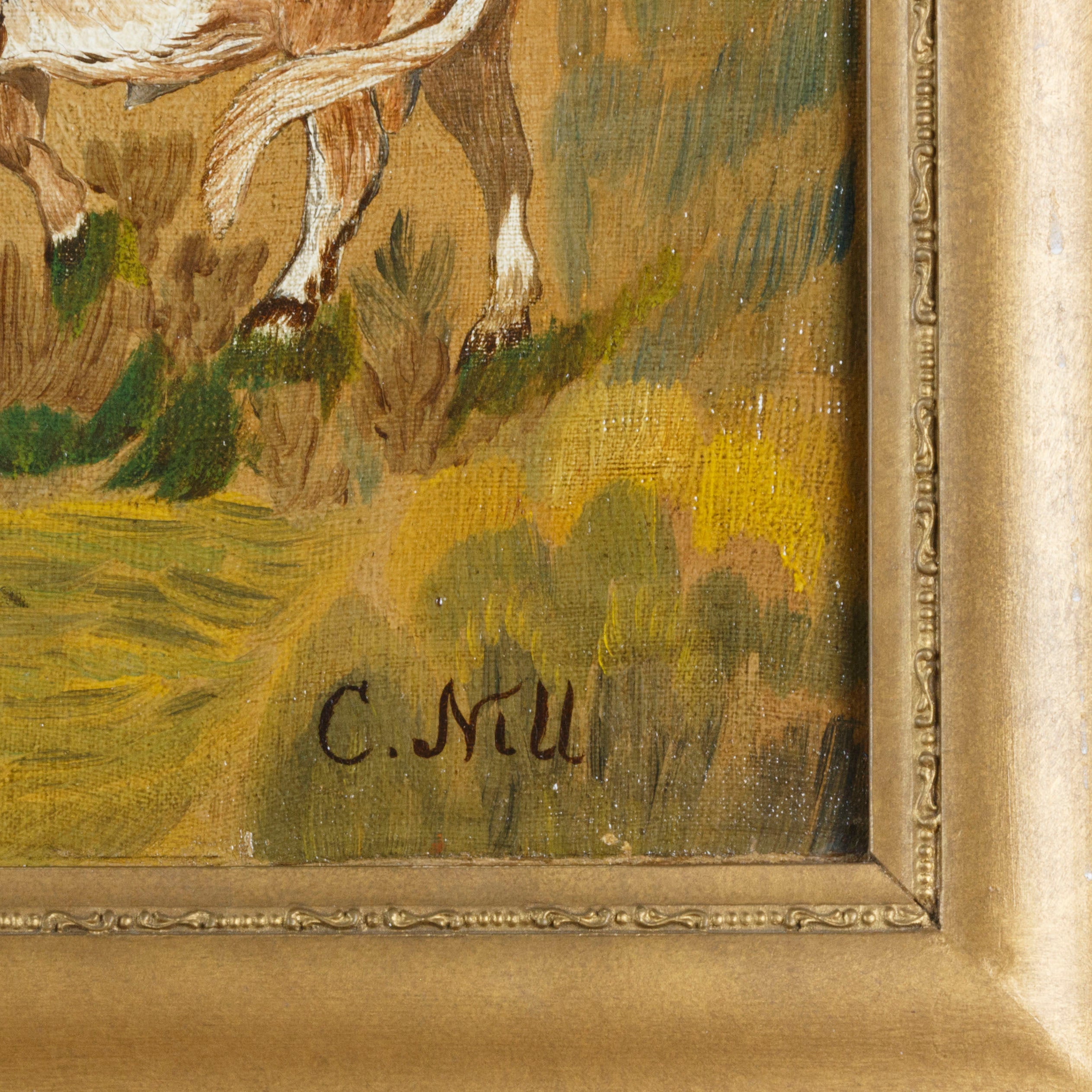 Great Cows by C. Nill