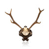 Red Stag Trophy Mount, Furnishings, Black Forest, Plaque