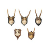 Roe Deer Collection, Furnishings, Taxidermy, Deer