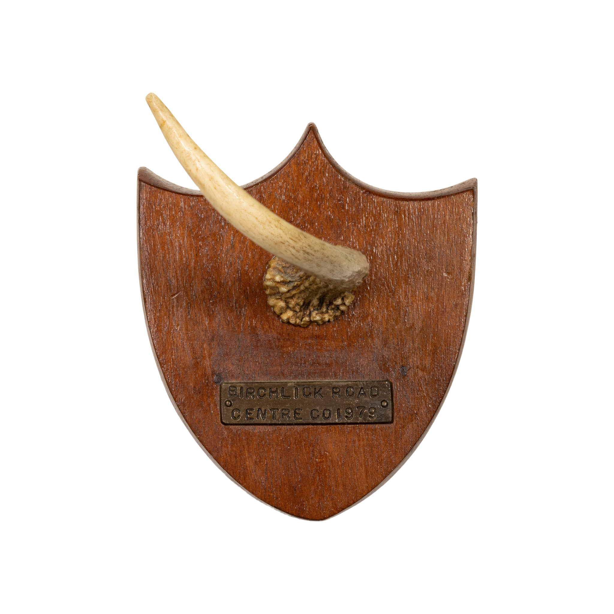 Deer Trophy Plaque