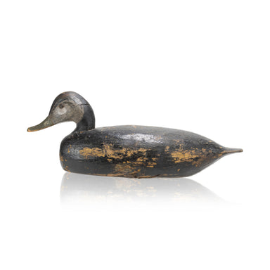 Eastern Black Duck Decoy, Sporting Goods, Hunting, Waterfowl Decoy