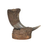 Buffalo Horn Vase
