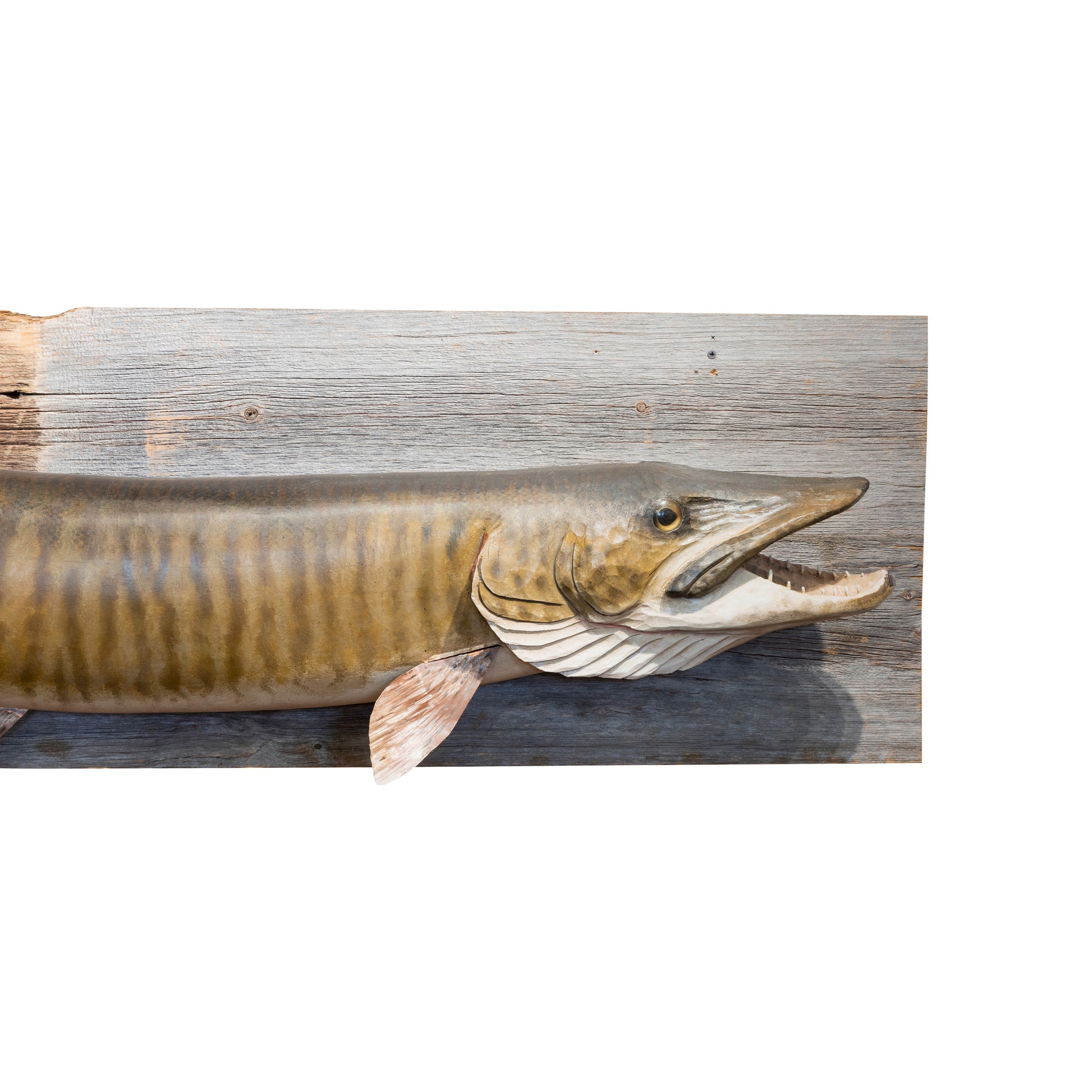 Carved and Painted Muskie Mount