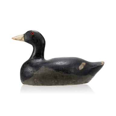 Gus Nilo Coot Decoy, Sporting Goods, Hunting, Waterfowl Decoy