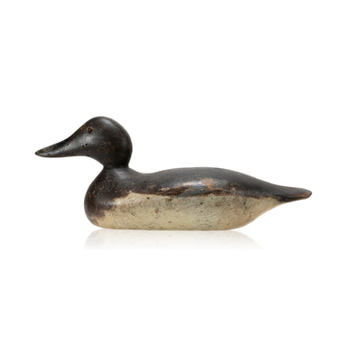 Hayes Canvasback Hen Decoy, Sporting Goods, Hunting, Waterfowl Decoy