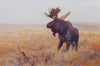 Moose in the Mist by Clarence Tillenius, Fine Art, Painting, Wildlife
