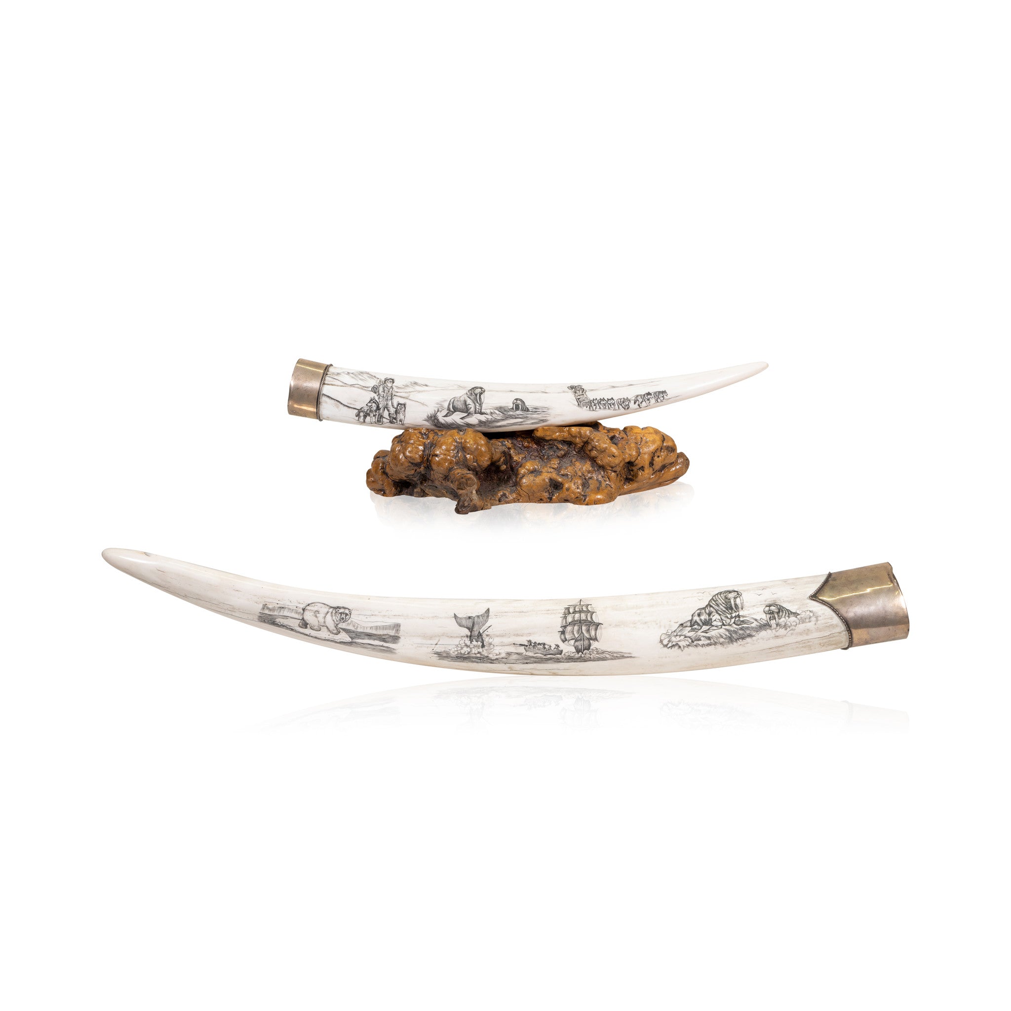 Scrimshawed Walrus Tusks, Native, Carving, Ivory