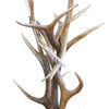 Elk Floor Lamp with Rawhide Shade