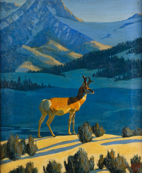 Blue Sky Country by Duncan Campbell, Fine Art, Painting, Wildlife