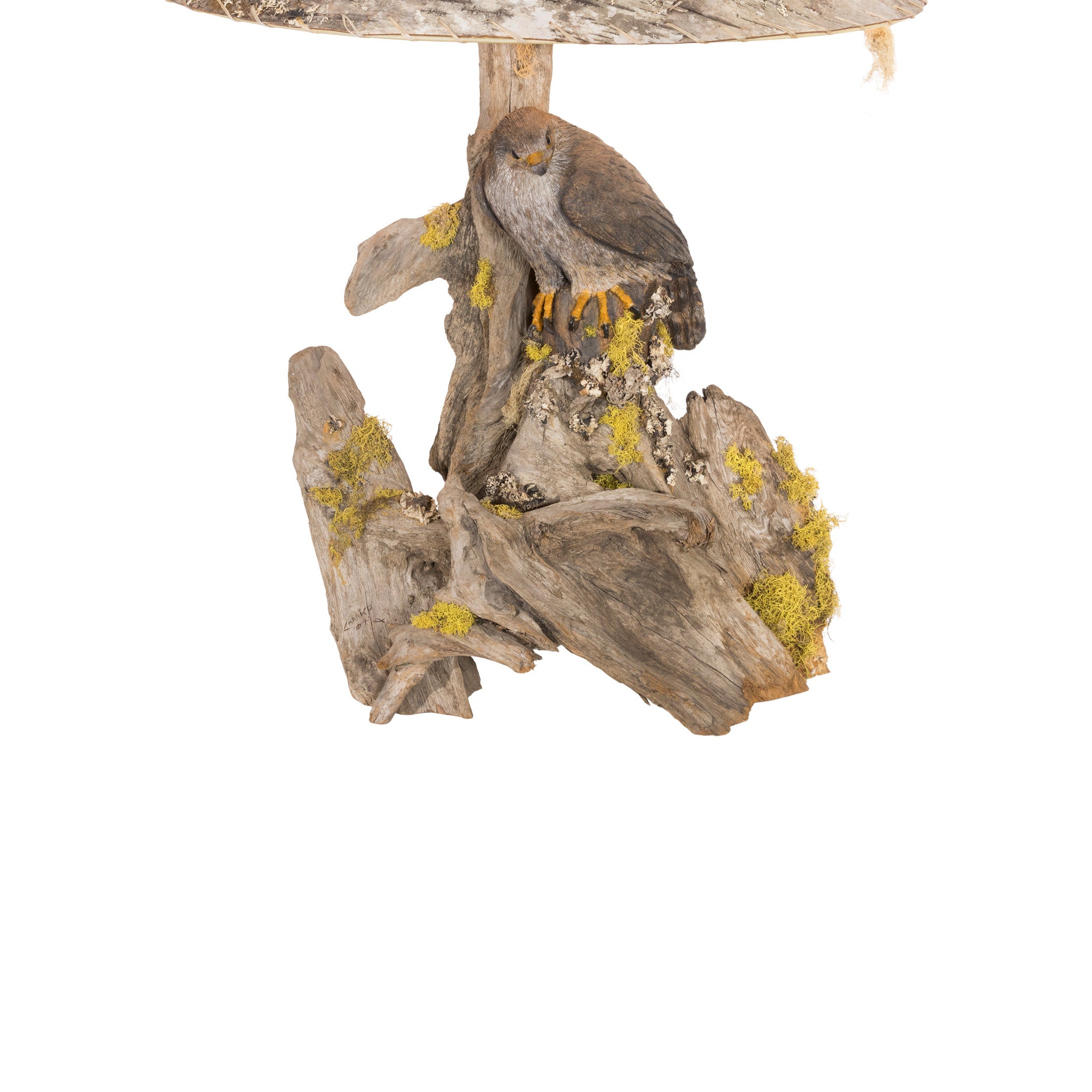 Prairie Falcon Table Lamp