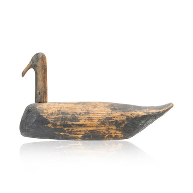 Coot Root Head Decoy, Sporting Goods, Hunting, Waterfowl Decoy