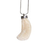 Sperm Whale Tooth Pendant