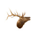 Bugling Elk shoulder Mount, Furnishings, Taxidermy, Elk