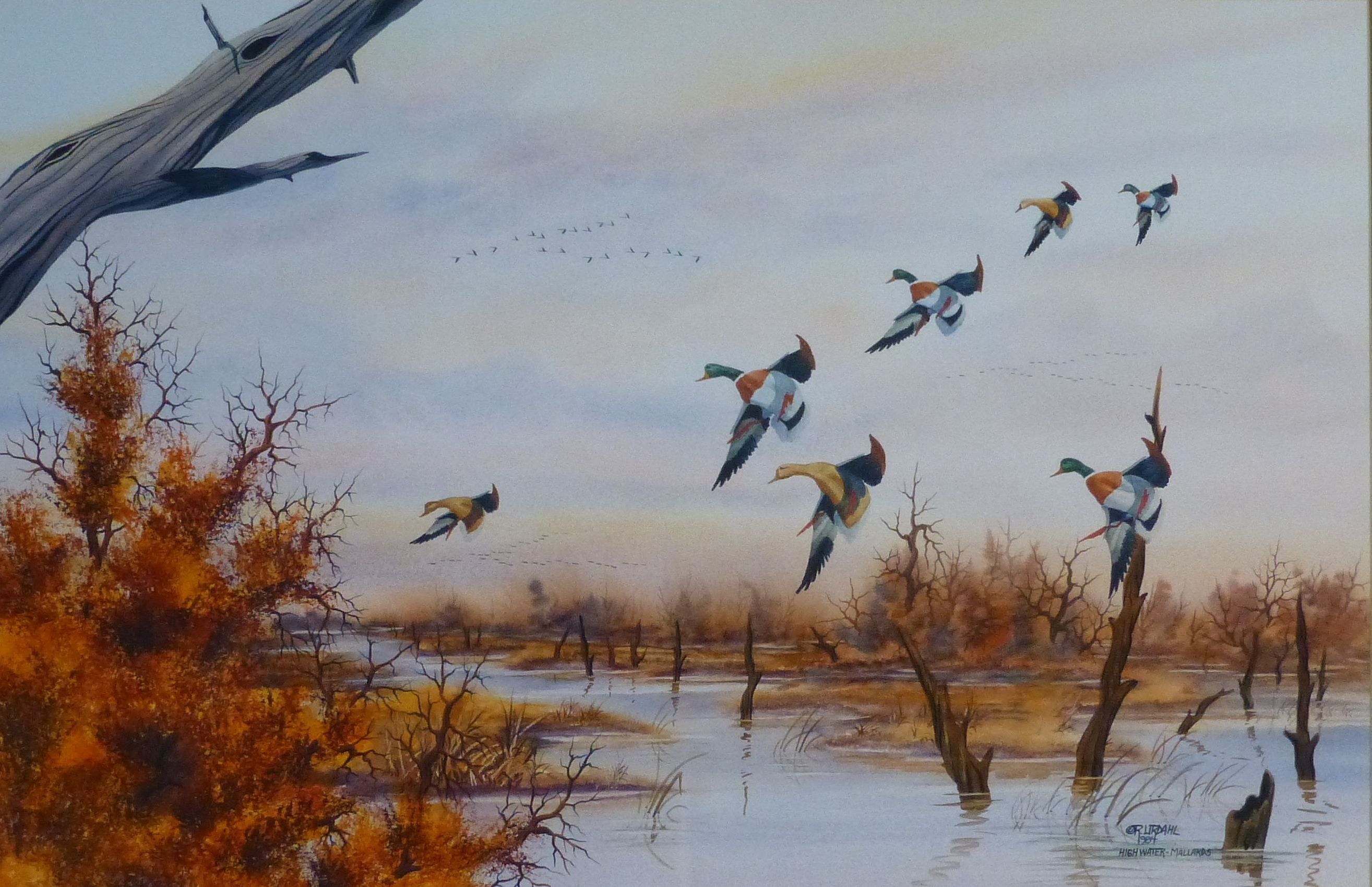 "High Water Mallards" by Rich Urdahl, Fine Art, Painting, Wildlife