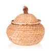 Lidded Paiute Jar, Native, Basketry, Vertical