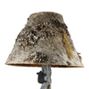 Bronze Bear Table Lamp