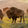Grazing Buffalo by Charles Damrow