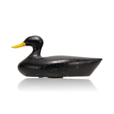 Black Duck Decoy, Sporting Goods, Hunting, Waterfowl Decoy