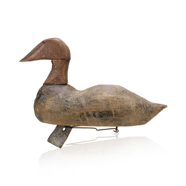 Folky Canvasback Decoy, Sporting Goods, Hunting, Waterfowl Decoy