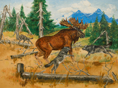 Moose by Curtis Hatcher, Fine Art, Painting, Wildlife