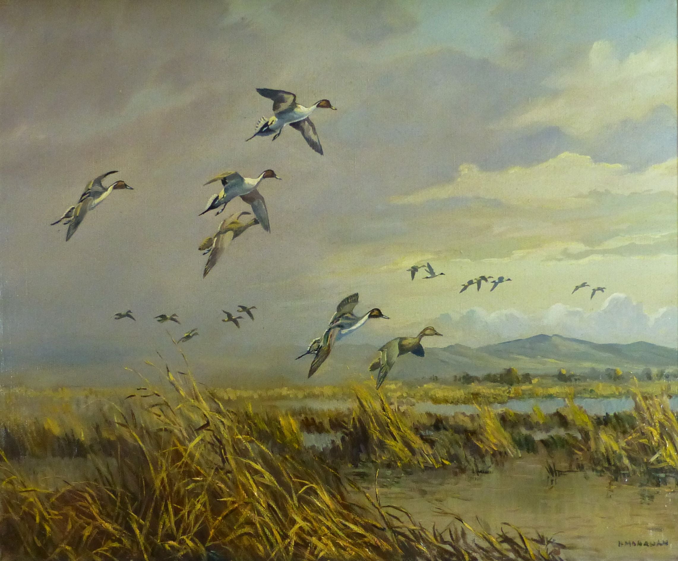 Pintails Over the Marsh by Hugh Monahan, Fine Art, Painting, Wildlife