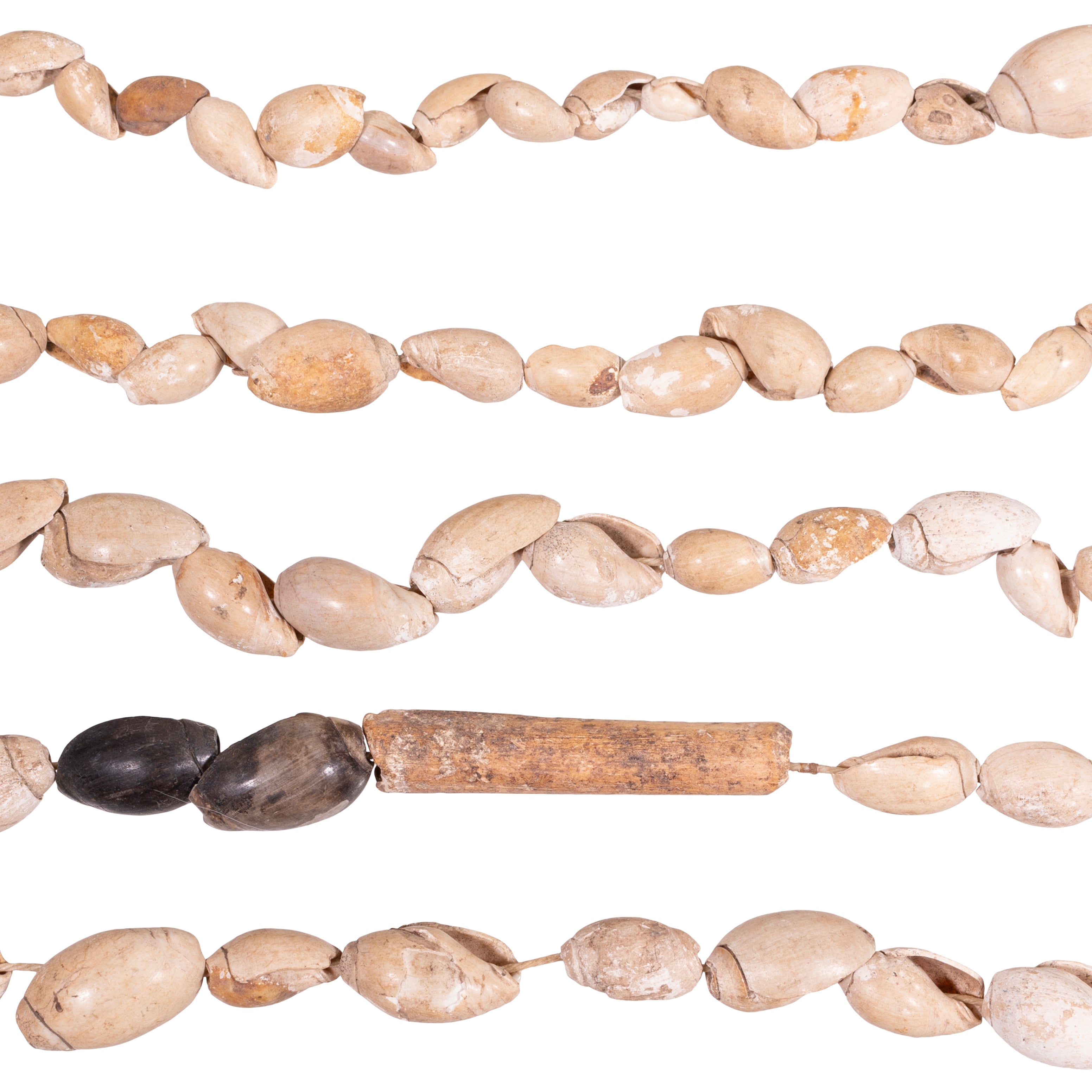 Shell Bone and Trade Beads
