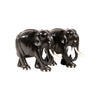 Ebony Elephant Collection