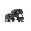 Ebony Elephant Collection