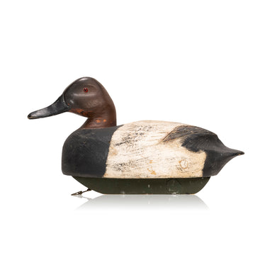 Walnter Snow Canvasback Decoy, Sporting Goods, Hunting, Waterfowl Decoy