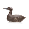 Canvasback Hen, Sporting Goods, Hunting, Waterfowl Decoy