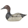 Canvasback Drake, Sporting Goods, Hunting, Waterfowl Decoy