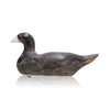Coot Decoy, Sporting Goods, Hunting, Waterfowl Decoy