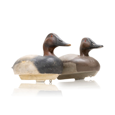 Dr. Mason Letellier Canvasback Decoy Pair, Sporting Goods, Hunting, Waterfowl Decoy