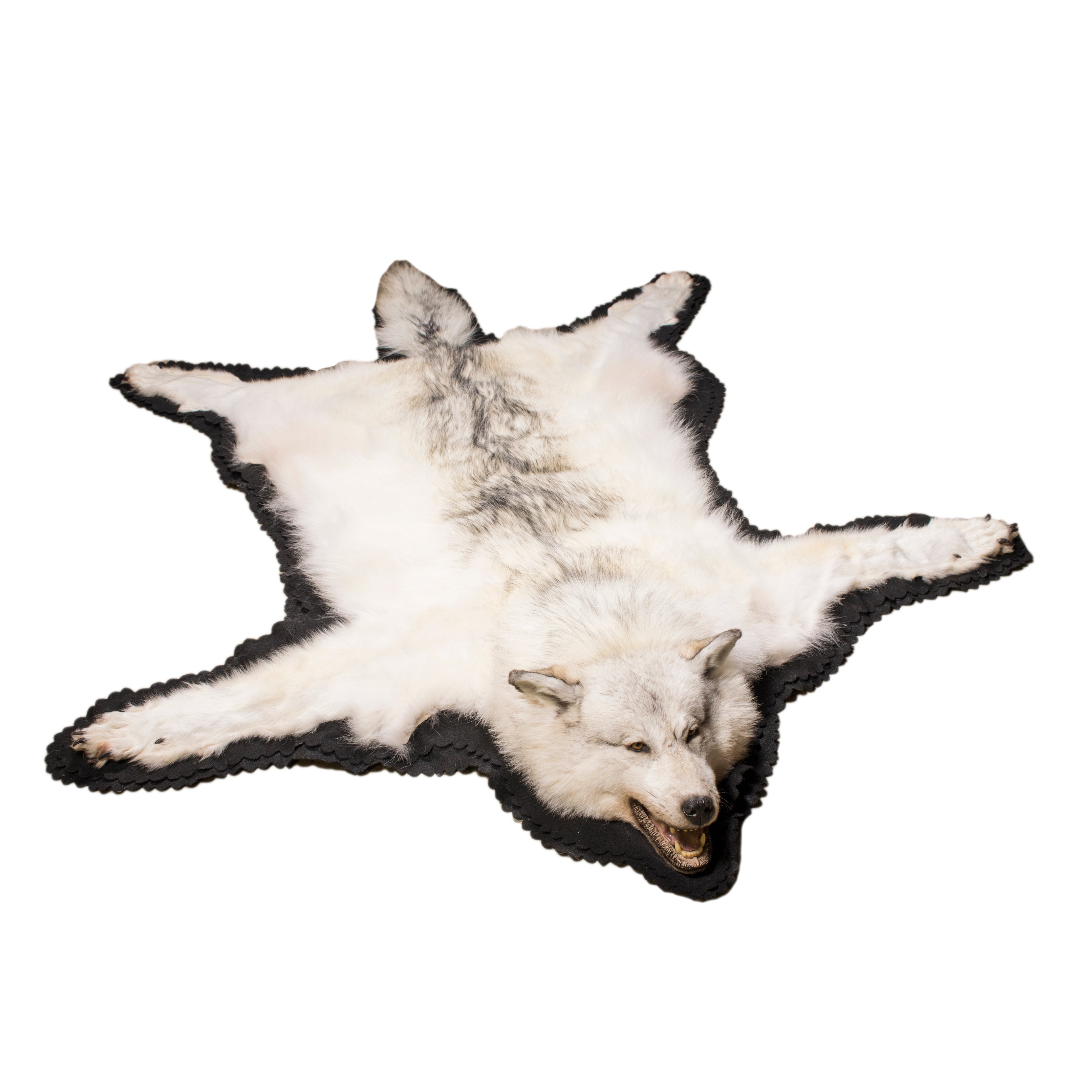 Alaskan Wolf Rug
