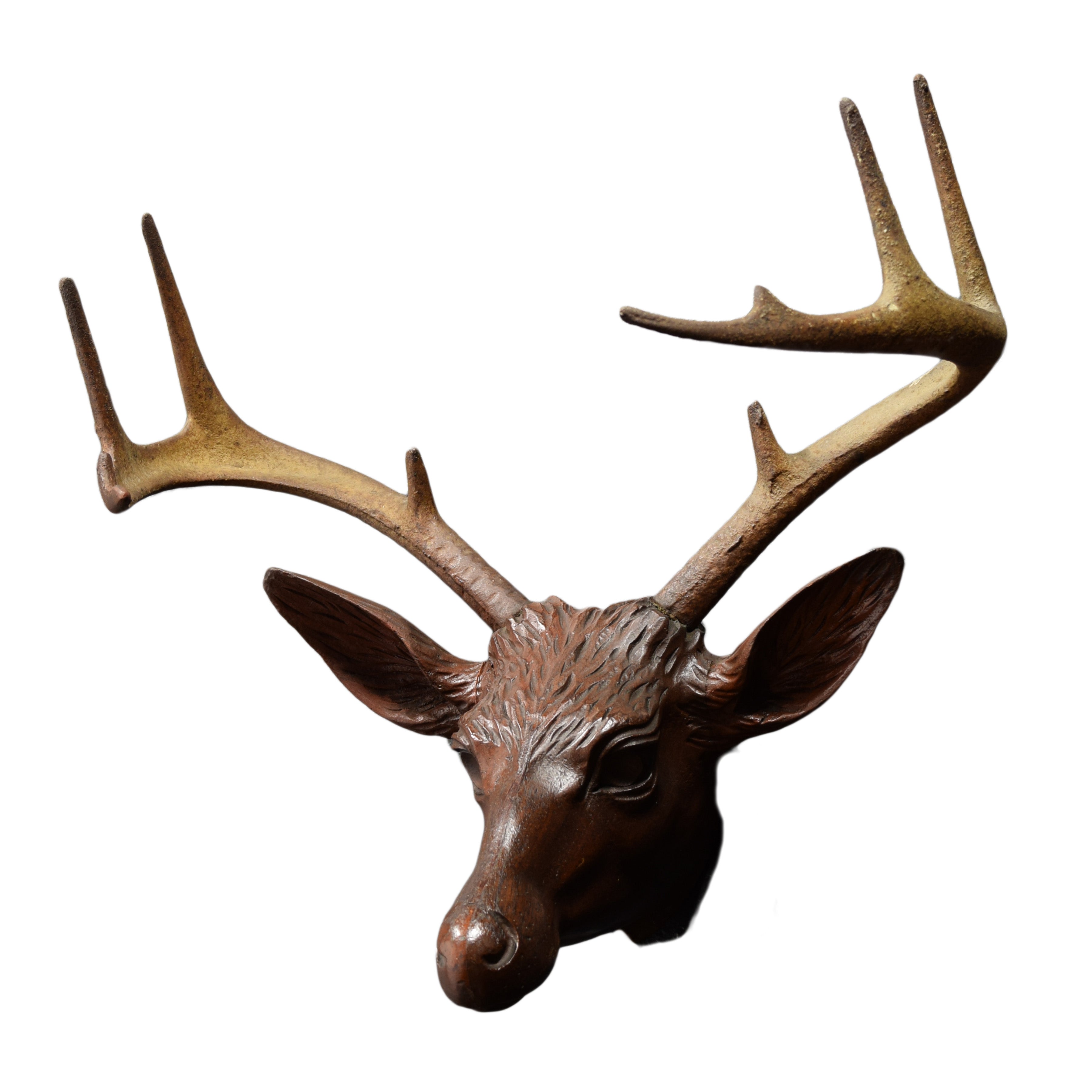 Carved Whitetail Trophy Mount