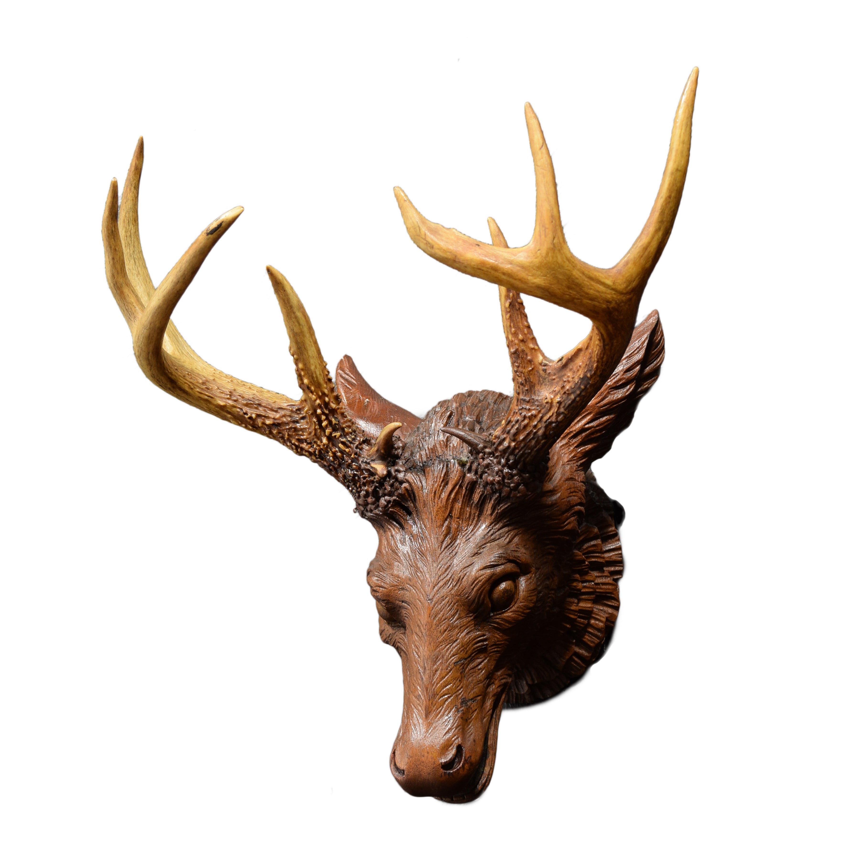Carved Whitetail Mount